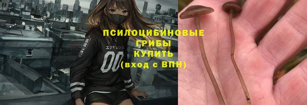 прущие грибы Алексин