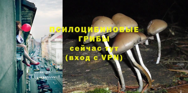 прущие грибы Алексин