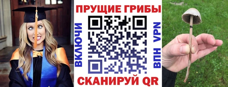 магазин наркотиков Ханты-Мансийск Галлюциногенные грибы MAGIC MUSHROOMS